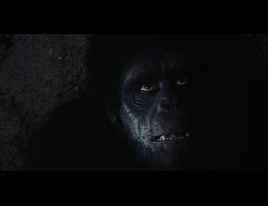 [space-9.jpg]