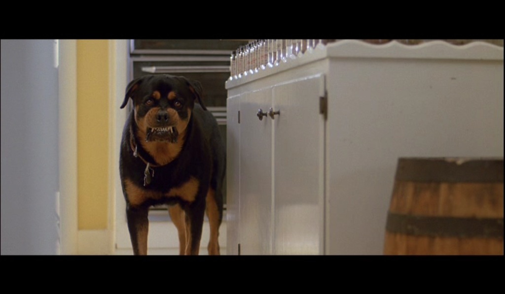 [ferris-16.jpg]
