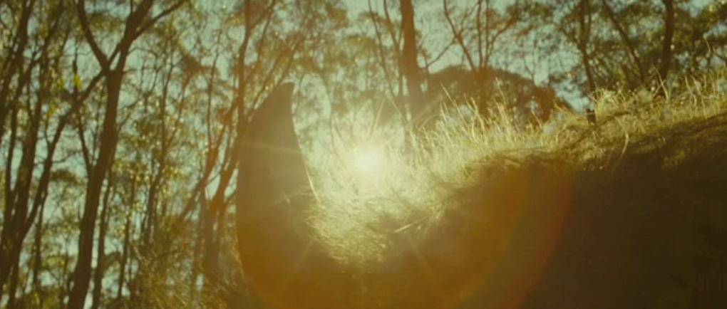 [wildthingsare-03.png]