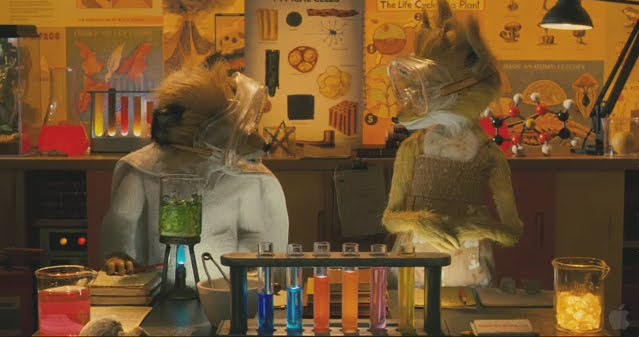 [FantasticMrFox-05.jpg]